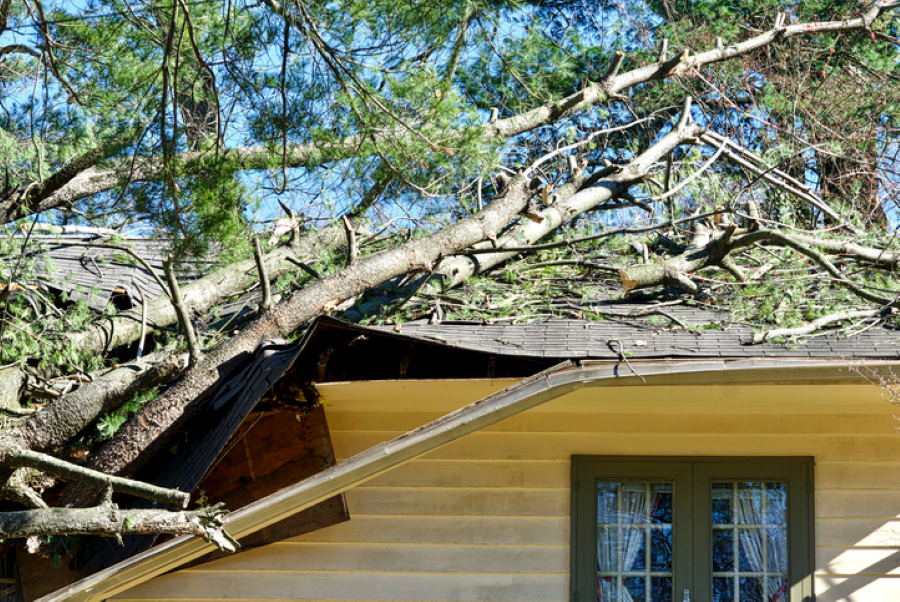 Storm Damage by Sacred Builders LLC